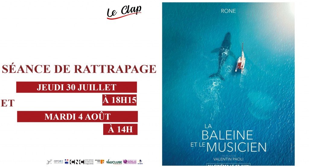 actualité Séances de Rattrapage / LA BALEINE ET LE MUSICIEN