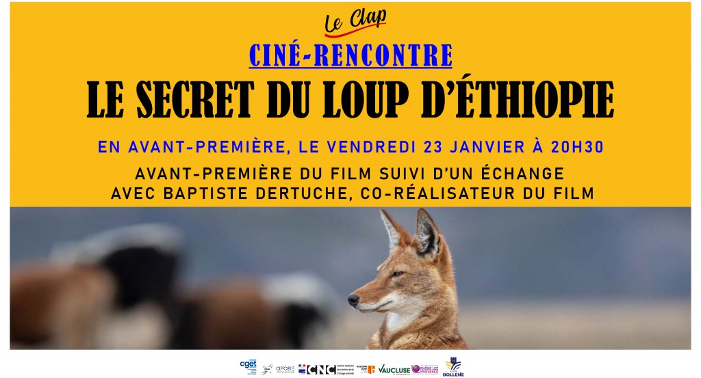 actualité Ciné-Rencontre / LE SECRET DU LOUP D'ETHIOPIE