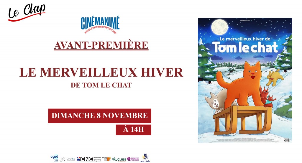 actualité AVP Tom le chat