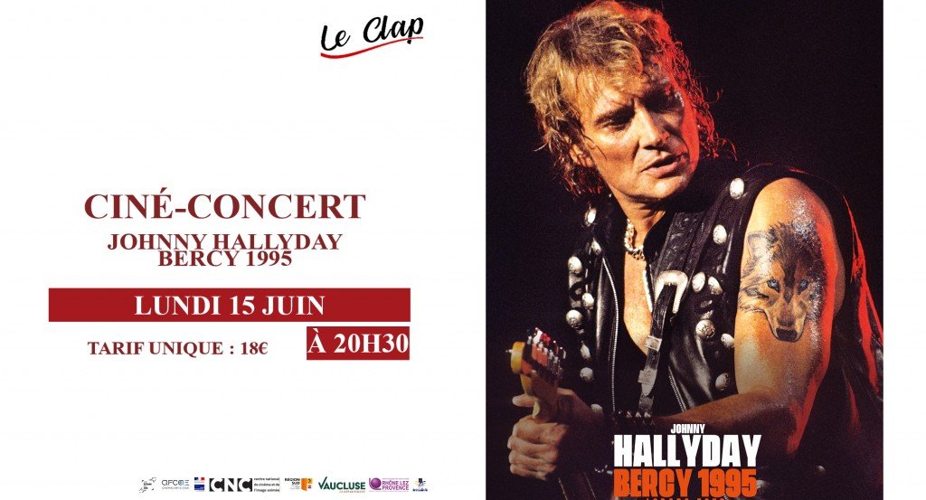 actualité concert johnny