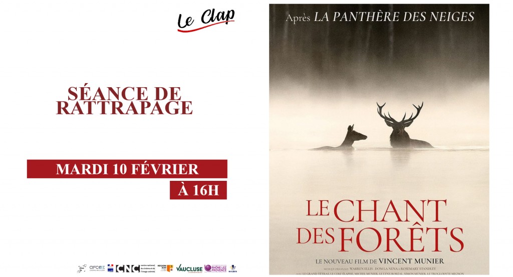 actualité Rattrapage chant des forets